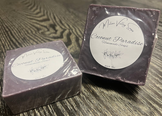 Two bars of dark purple soap labeled 'Coconut Paradise'.